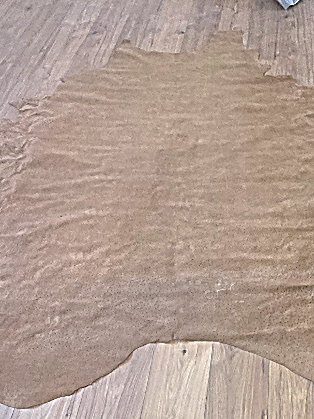Ostrich Hide